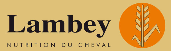 Lambay